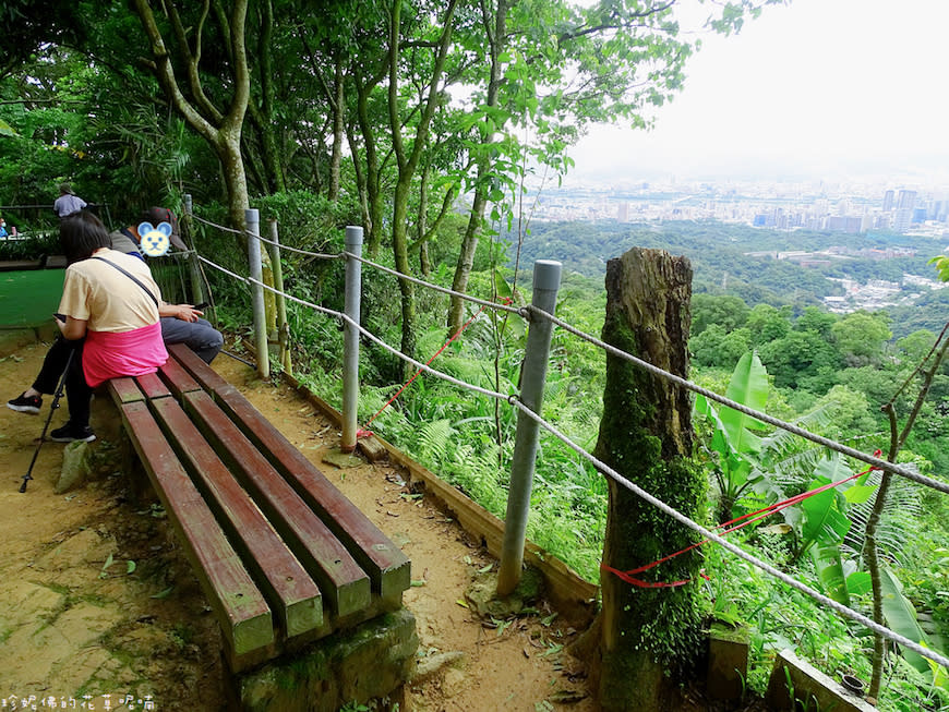 新北土城｜文筆山步道