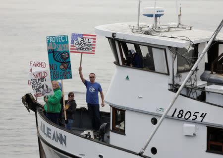 People protest near a an open-water net pen during a flotilla against the expansion and renewal of Atlantic salmon net pens in Washington state at Rich Passage off Bainbridge Island, Washington, U.S. September 16, 2017. REUTERS/Jason Redmond