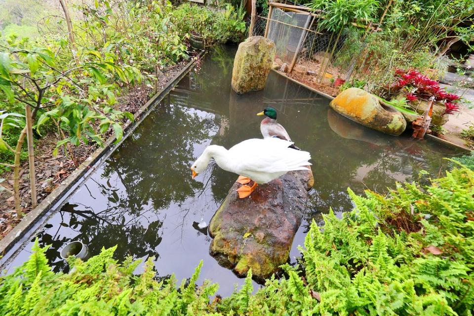 台中｜新社仙塘跡餐廳