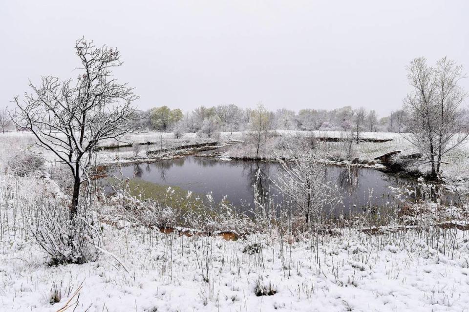 The calendar says spring, but the scenery surrounding a small pond off of Prairie Star Parkway displayed a snowy, winter-like scene Tuesday, April 20, in Lenexa, Kansas.