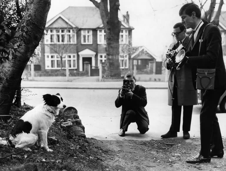 Pickles, el perro héroe que encontró la Copa del Mundo en 1966, luego de que se la robaran de una exhibición en Londres