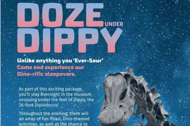 Doze Under Dippy at the Herbert Art Gallery and Museum in Coventry