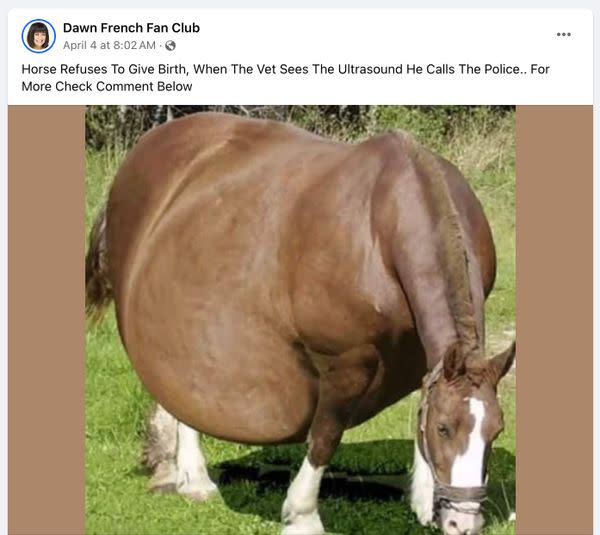 A viral story headline read: Horse refuses to give birth when vet sees ultrasound.  He calls the police.