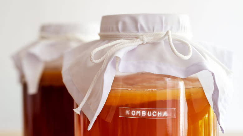 Close-up of a labeled jar of  fermenting kombucha covered in cheesecloth