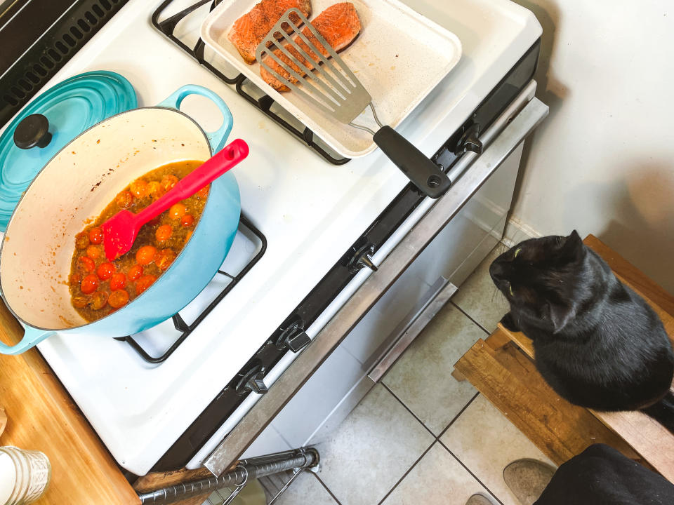 My cat was careful to keep an eye on my kitchen project. (Photo: Jenny Kellerhals)