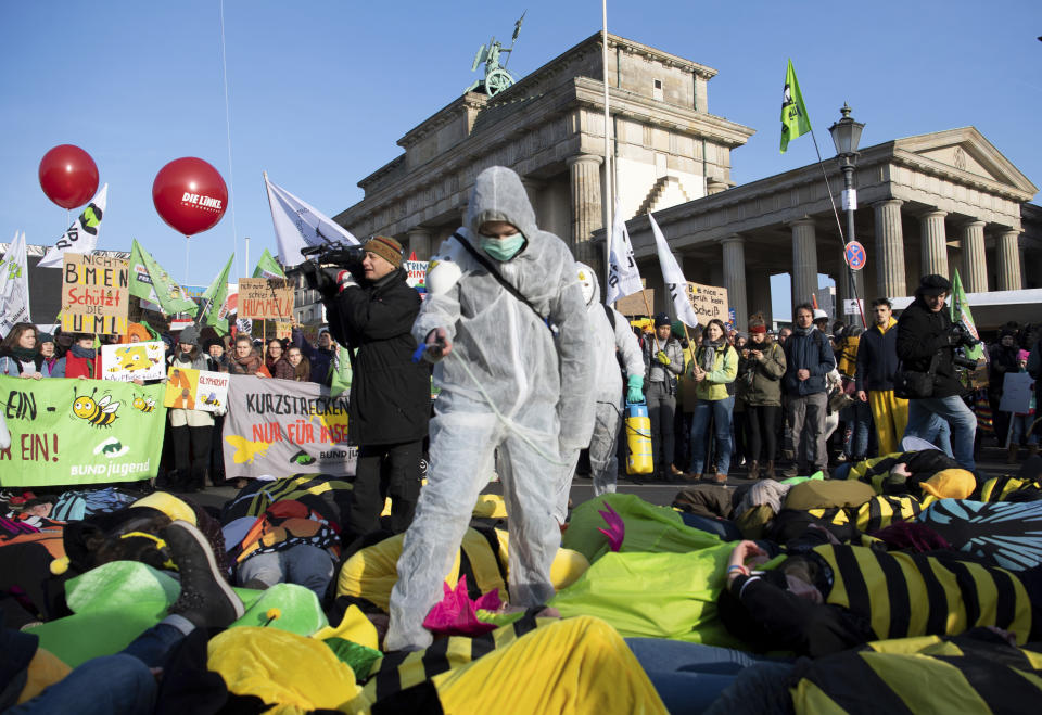 Demonstrators protest formore animal welfare and protection in the agriculture on occasion of the "Green Week" fair in front of the Brandenburg Gate in Berlin, Germany, Saturday, Jan. 19, 2019. ( Ralf Hirschberger/dpa via AP)