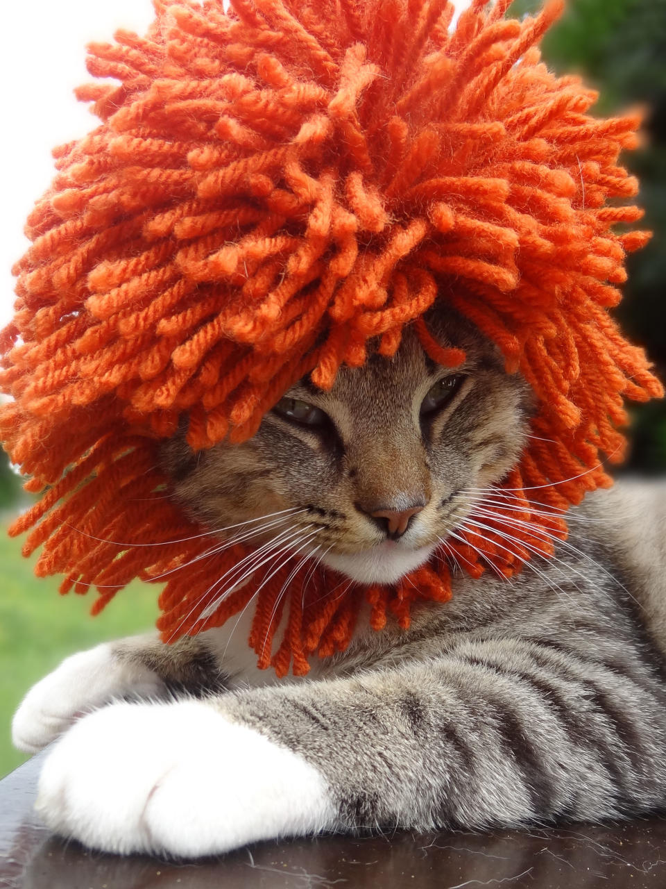 Amazing lions mane cat hat.