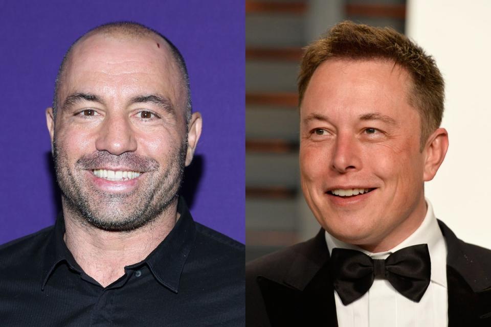 Elon Musk (right) has frequently appeared on ‘The Joe Rogan Experience’ (Getty)