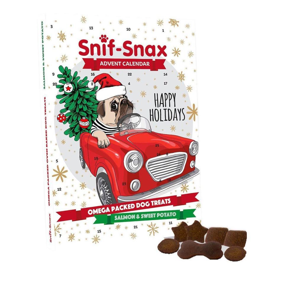 <p><strong>Snif-Snax</strong></p><p>chewy.com</p><p><strong>$9.49</strong></p><p>For dogs with food sensitivities, try this <strong>grain-free advent calendar containing treats made with salmon and sweet potato</strong>. They<em> are </em> human-grade, but don't be tempted to take a bite yourself. </p>