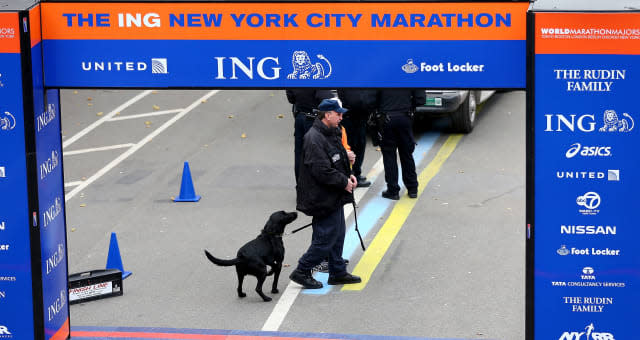 2013 ING New York City Marathon