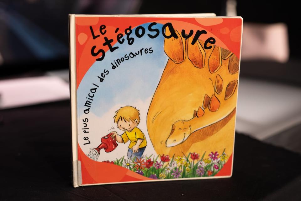 Le stégosaure, one of the seven challenged library items in 2023, remains in the children's section.