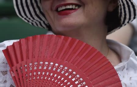 A spectator waves a fan at the Wimbledon Tennis Championships in London, July 1, 2015. REUTERS/Toby Melville