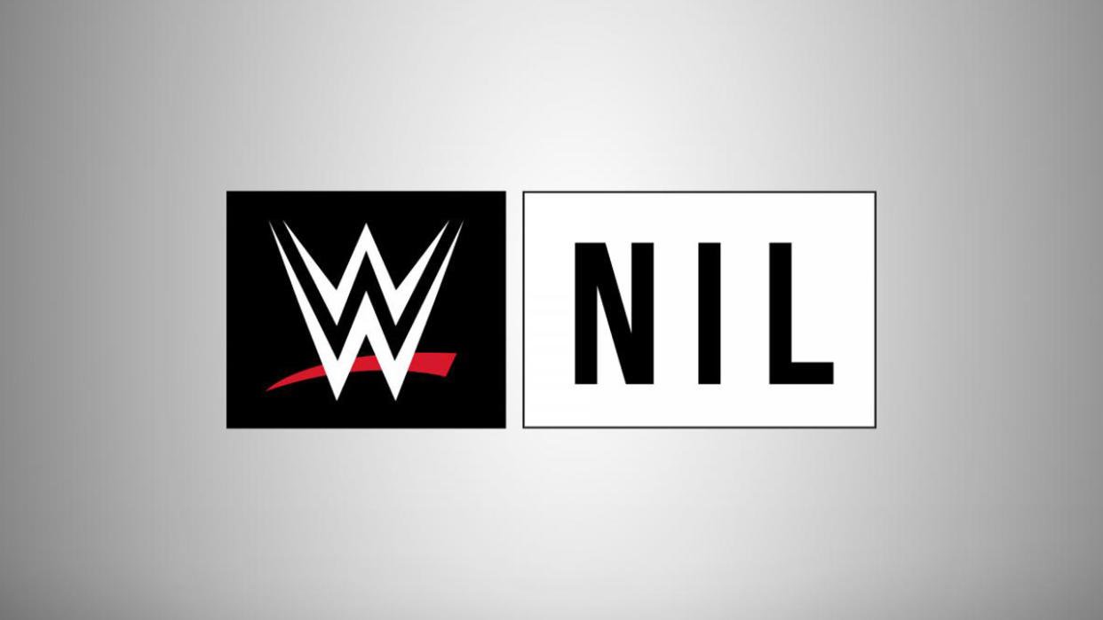 WWE Adds 15 New Athletes To The 'Next In Line' Program