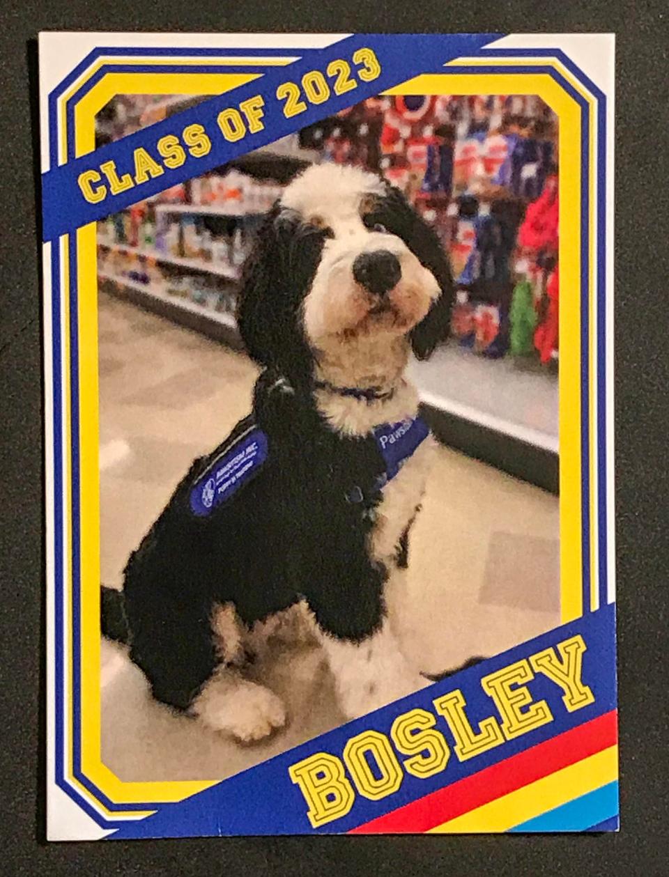 Bosley the service dog even has an information card about him as seen, Friday, May 19, 2023, in Sheboygan Falls, Wis.