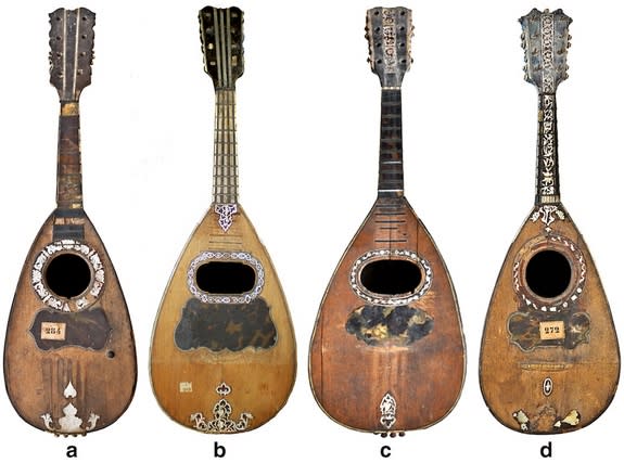 A 2014 study in the journal Applied Physics A has revealed the unique mix of materials used in the finish of stunning 18th-century mandolins made by master luthiers in Naples, Italy. Some of the mandolins studied are shown here: made by G. Fila