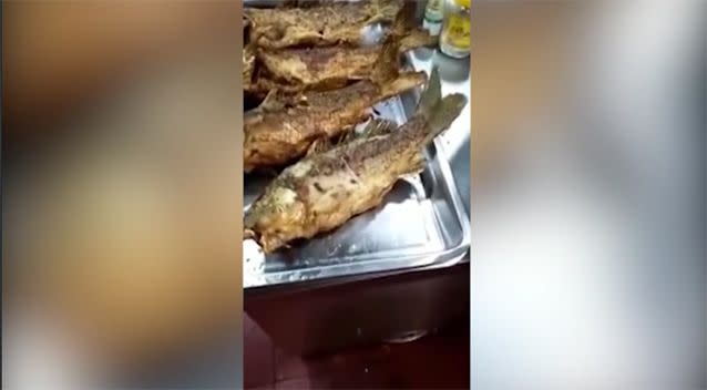 The fish could be seen moving on the plate. Source: Newsflare