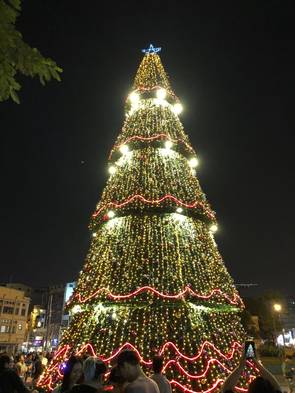 ▲典雅聖誕樹。(圖/記者陳聖璋攝，2018.11.02)