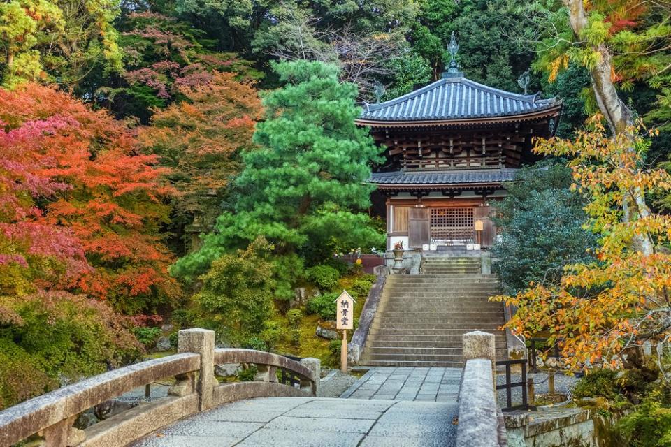 path leading to temple surrounded by red and green leaves