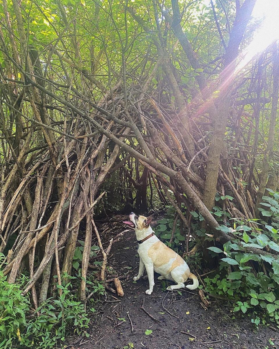 One of my favorite throwback photos of Miss Sheba-doo. We're both excited for summer to come back.