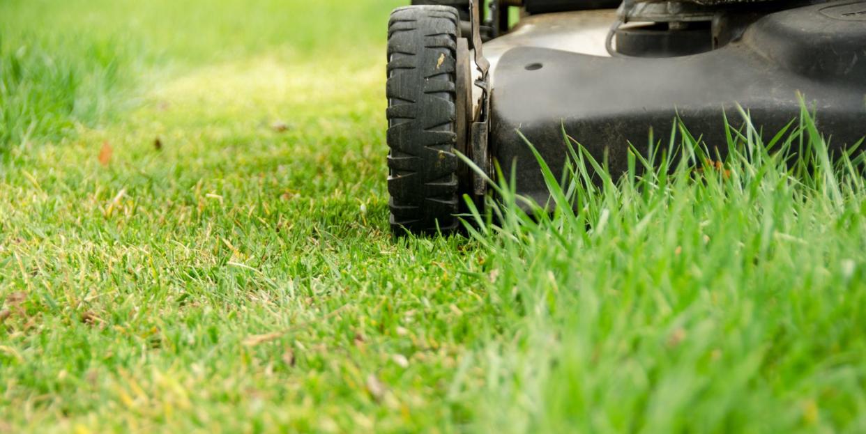 16 things to consider before the first grass cut of the year