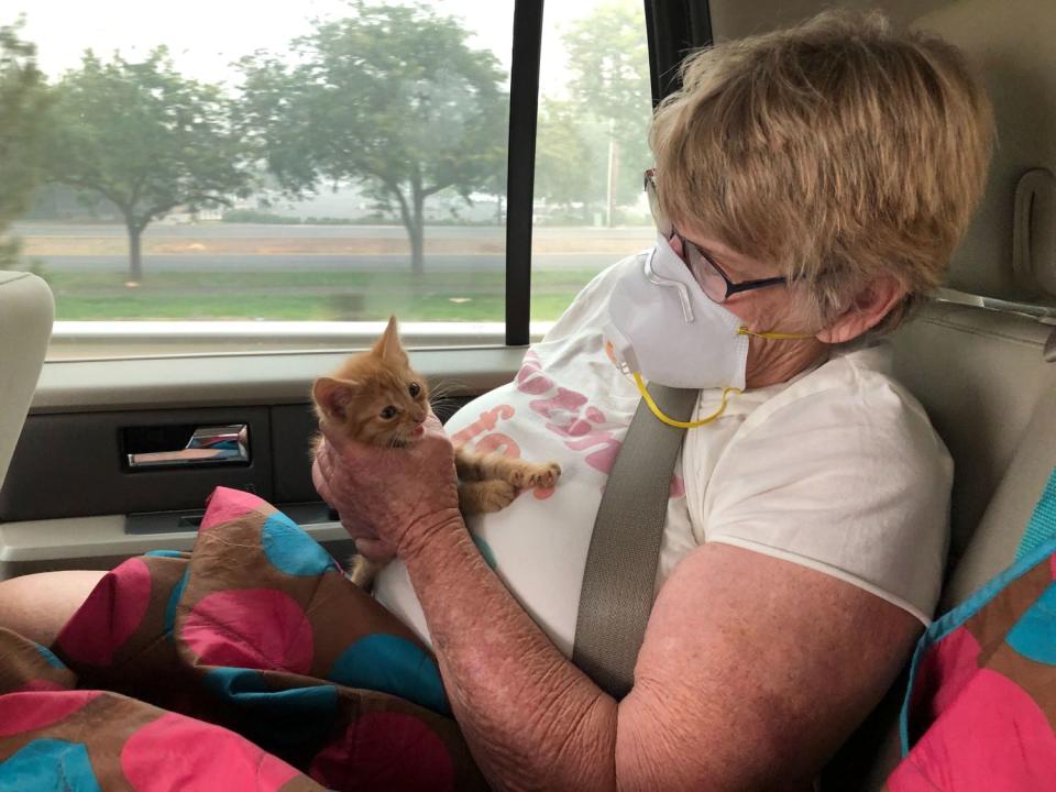 Wildfire evacuee Susie McMillan, 76, cradles a kitten she rescued after visiting the remains of her Phoenix, Ore., home.
