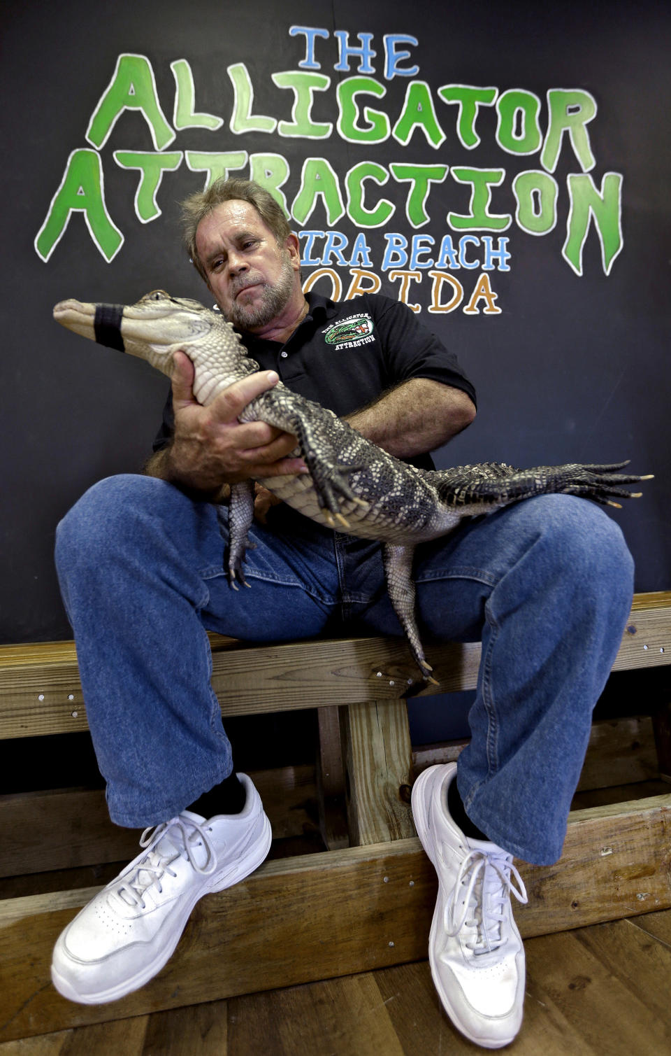 Bob Barrett, owner of The Alligator Attraction poses with one of his alligators Wednesday, Sept. 26, 2012 in Madeira Beach, Fla. Instead of bounce houses and ponies, some Florida parents are opting for more exciting activities at their kid's birthday parties: alligators. Barrett says the parties are totally safe, because the alligators mouths are taped shut. (AP Photo/Chris O'Meara)