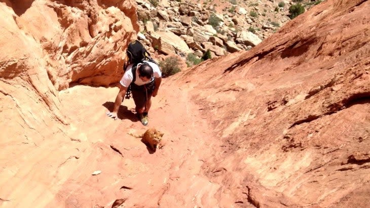 A cat a few paces above his owner on a rock-climbing route