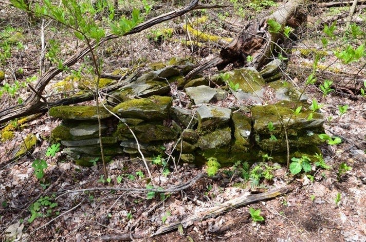 The remains of George Washington Turner's homestead lie in the Meigs Mountain area of Great Smoky Mountains National Park near Cades Cove. Park research shows that Turner's mother was enslaved.