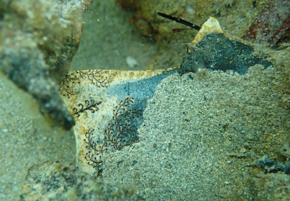 Seaweed-patterned ceramic shard found at the wreck site