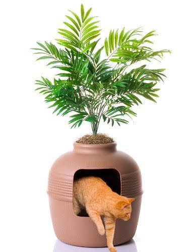 Hide Your Cat's Litter Box in Plain Sight