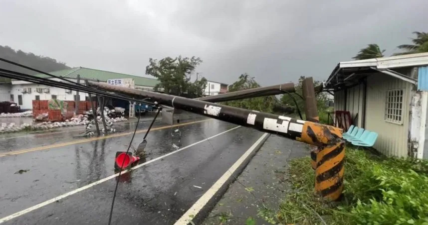 台9線賓朗路段的路樹以及電線桿倒。（圖／中國報蔡旻妤攝）