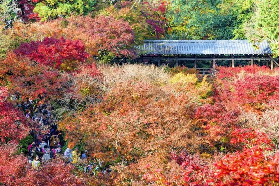 東福寺（圖片來源：Getty Creative）