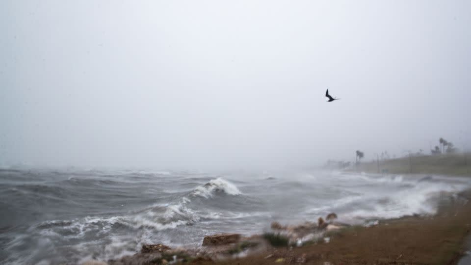 Birds hover over Corpus Christi Bay during Tropical Storm Harold on Tuesday morning. - Angela Piazza/Caller-Times/USA Today Network