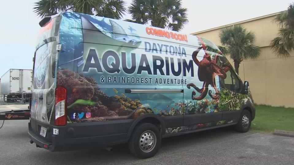 Daytona Mall is being renovated into a massive aquarium.