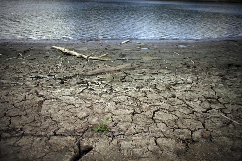 Grietas provocadas por la sequía en el embalse de Carraizo, en Trujillo Alto, Puerto Rico. El fenómeno de El Niño provocó un calentamiento de las aguas tropicales del Océano Pacífico, lo que ha afectado el clima a nivel global, con la peor sequía en cinco años en la región Caribeña. Las autoridades de toda la región se preparaban para un árido verano. (AP Foto/Ricardo Arduengo)