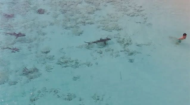 A boy has been filmed narrowly avoiding a group of sharks in the Bahamas. Source: Jukin