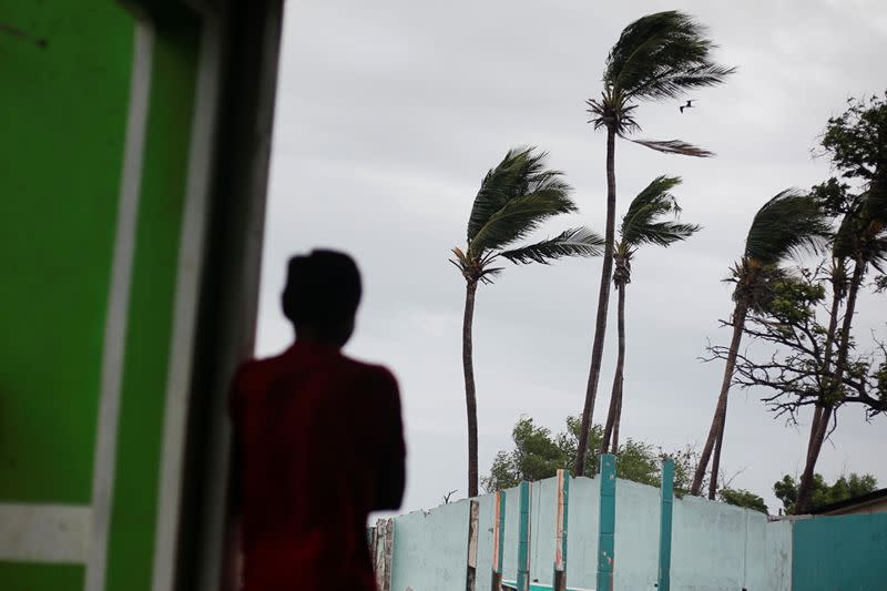 A man observes palm trees swaying by the wind as Storm Iota approaches, in Cedeno