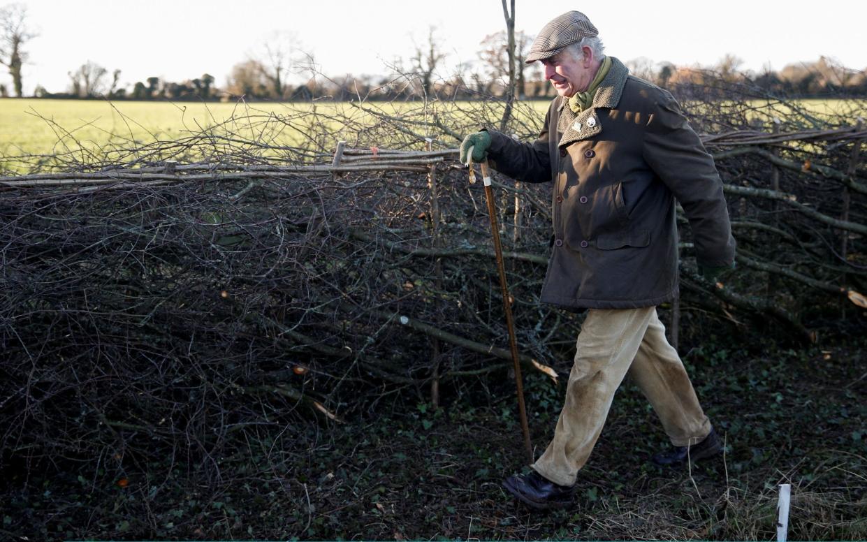 The One Show will on Monday night see the Prince of Wales share his thoughts on the importance of hedgerows with viewers - Getty 