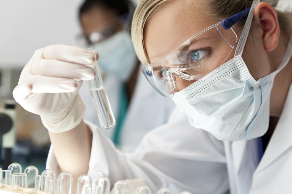 A laboratory employee examining a test tube.