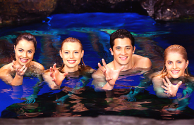 Mako Mermaids - News