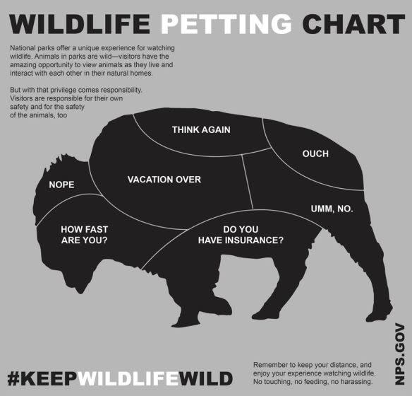 National Park Service wildlife warning