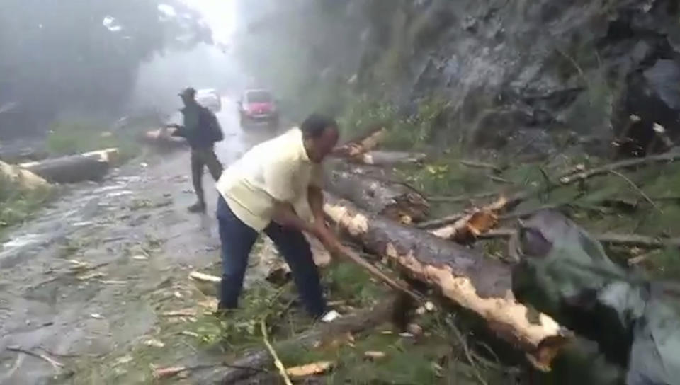 A man chops branches from a tree to clear a road