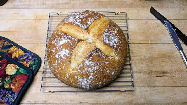 Brod & Taylor Sourdough Home for Starter