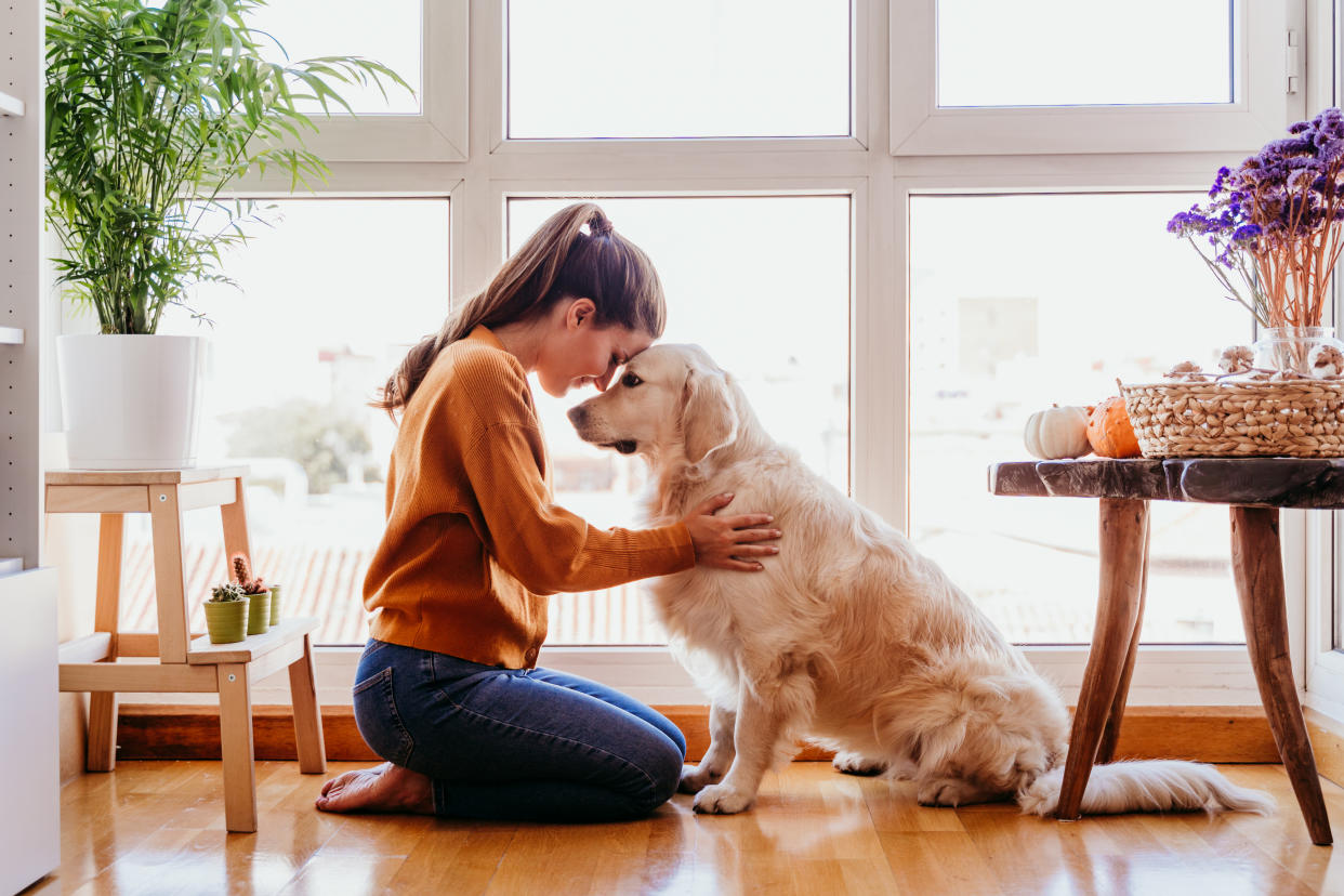 Que estar con tus mascotas no te deje su olor todo el día/Foto:Getty Images.