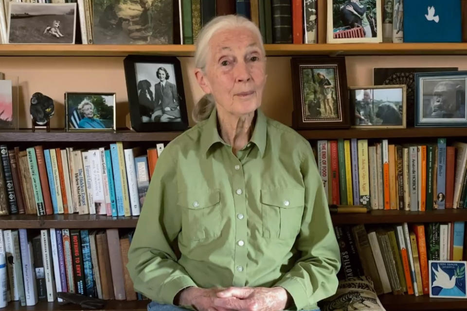 The prominent primatologist recalls having a conversation with a Buddhist monk about sustainability when she was in Malaysia two years ago. — Screengrab from Instagram/Jane Goodall