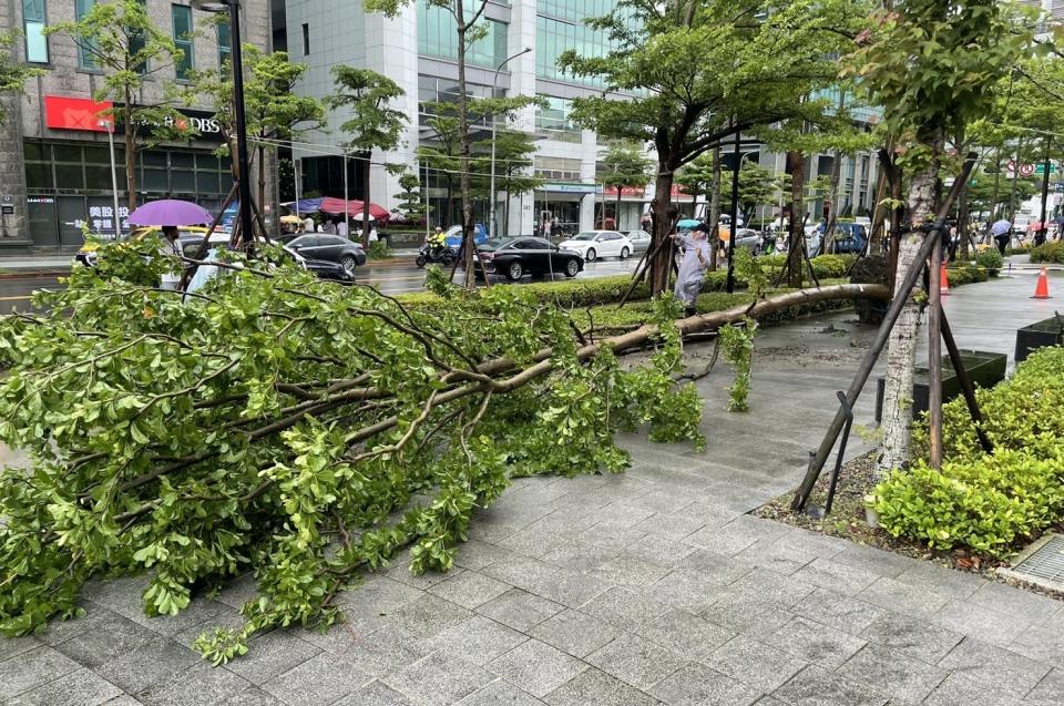 吊車將路樹移置人行道恢復車流。（圖／翻攝畫面）