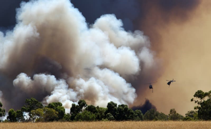 WA Press Photographer of the Year 2015 Awards