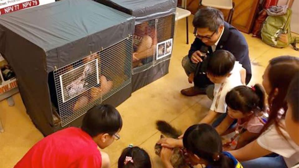 Some of the children began complaining after less than five minutes, saying it was too stuffy and small. Photo: CEN/YahooUK