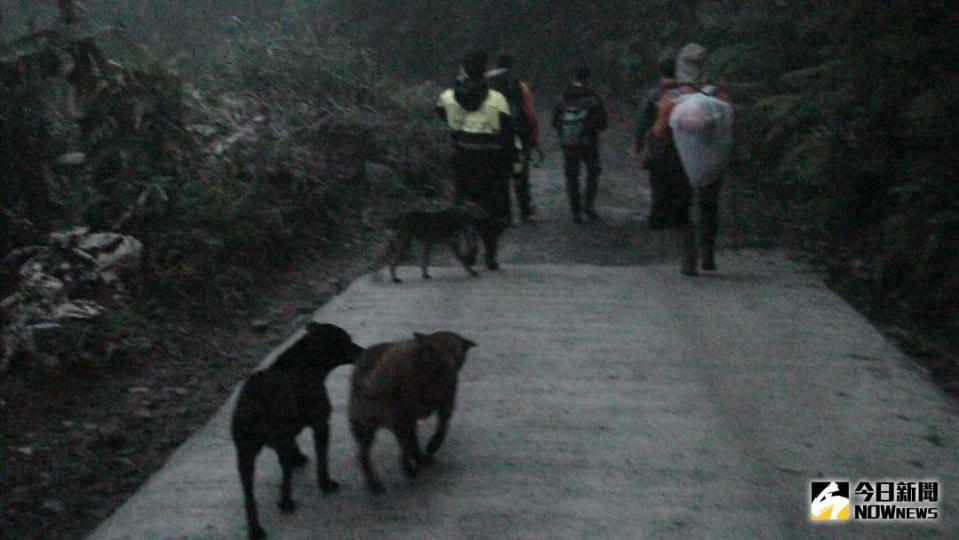 ▲鍾姓登山客在尖石山區迷途，幸有山犬陪伴，支撐到警消人員前來救援。（圖／橫山分局提供 , 2018.04.15）