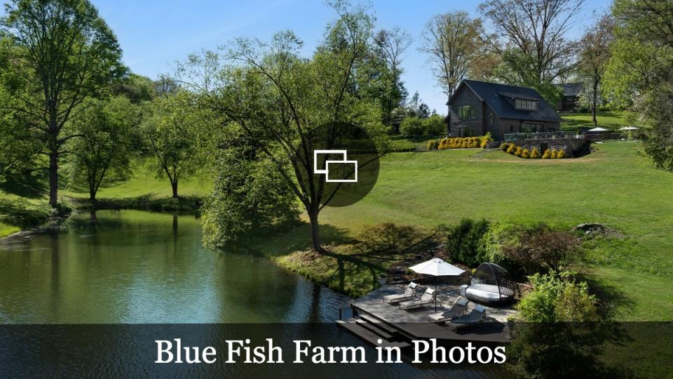 Blue Fish Farm North Carolina